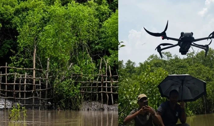 খালের মুখে কাঠের বেষ্টনী, টহলে ড্রোন : সুন্দরবনের গভীরে অপরাধীদের অনুপ্রবেশ রোধে বন বিভাগের বিশেষ উদ্যোগ